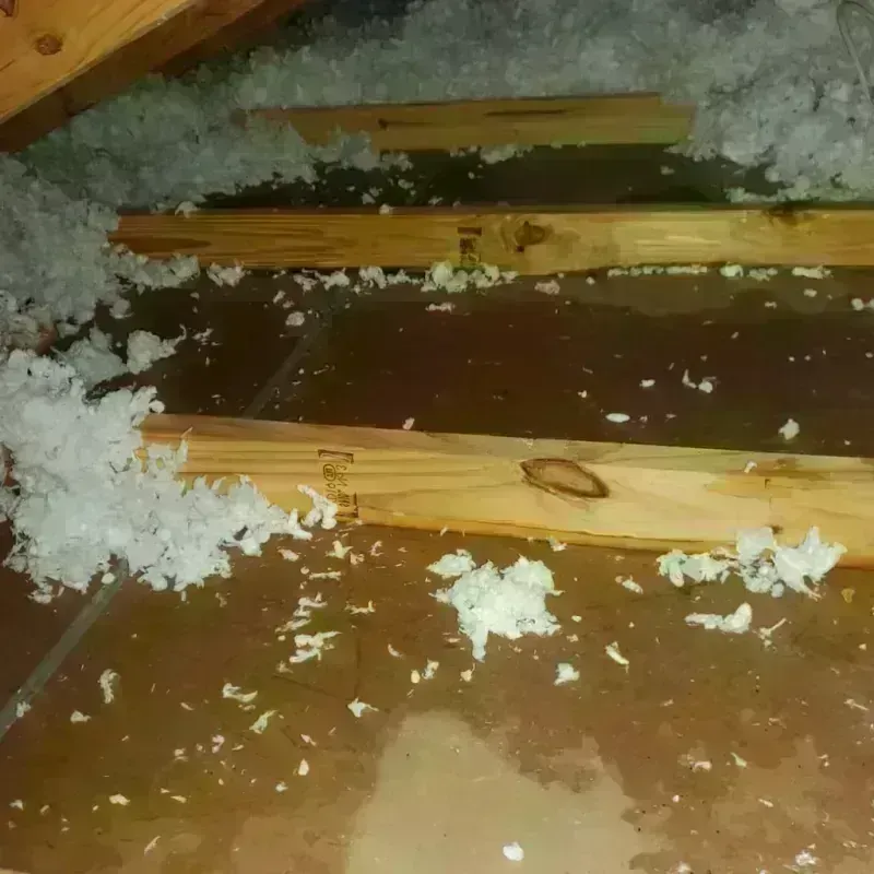 Attic Water Damage in Big Stone Gap, VA